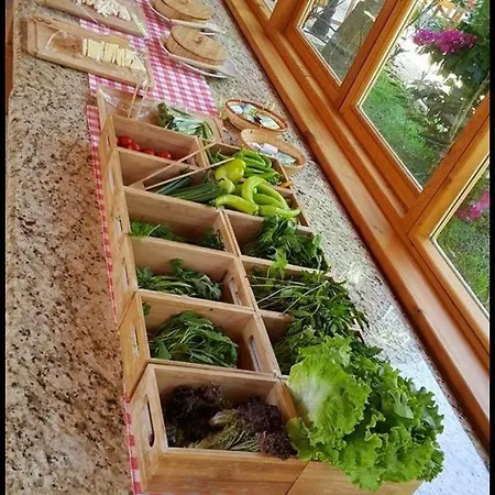 Hotel Sedir Çıralı