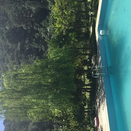 Hotel Sedir Çıralı