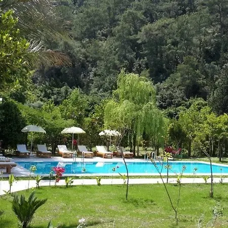 Sedir 3* Cirali