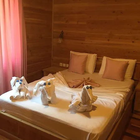 Hotel Sedir