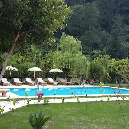 Sedir 3* Çıralı