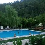 Sedir
